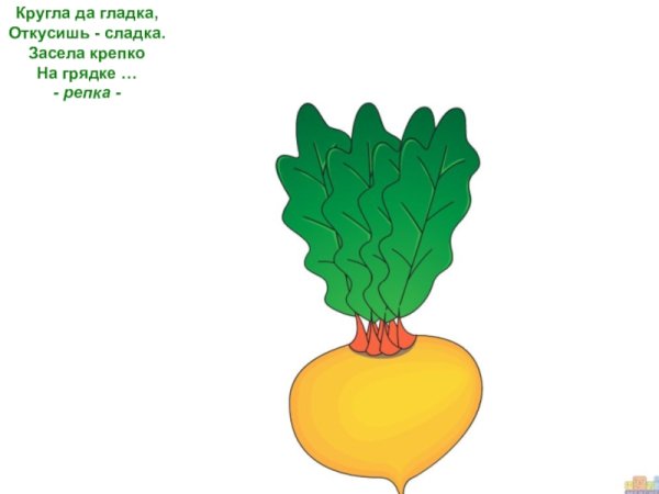 Свекла раскраска