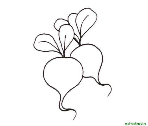 Репка большая и маленькая