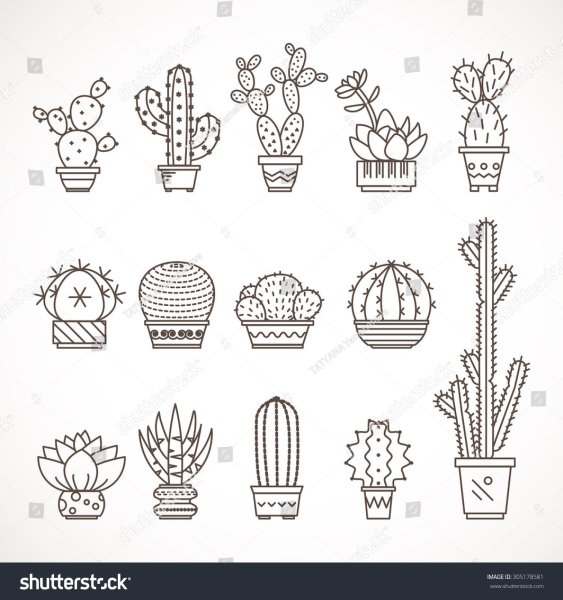 Кактус для срисовки