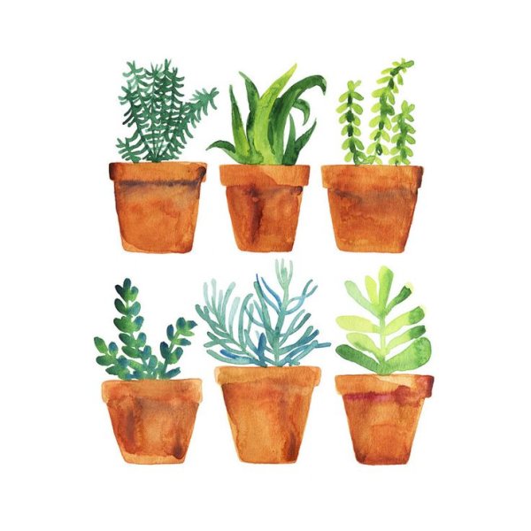 Скетч цветок в горшке