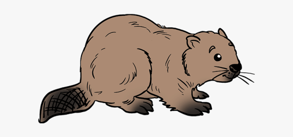 Бобр вырезать