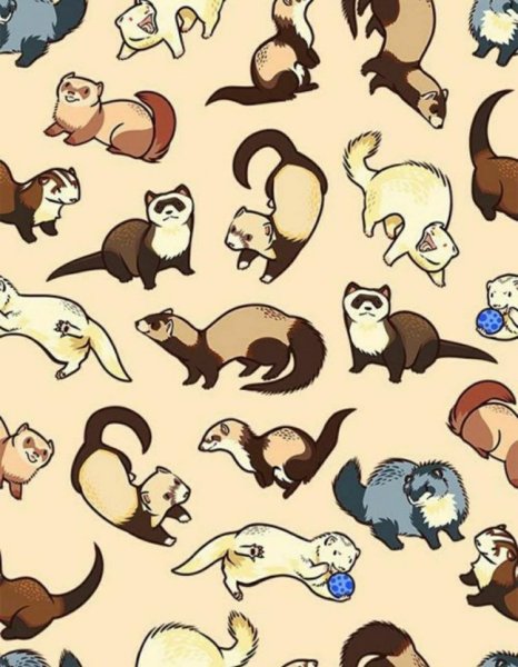 Хорек набросок