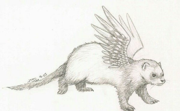 Соболь референсы