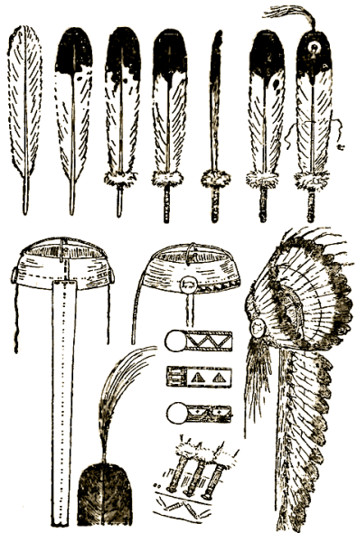 Сетон-Томпсон маленькие дикари