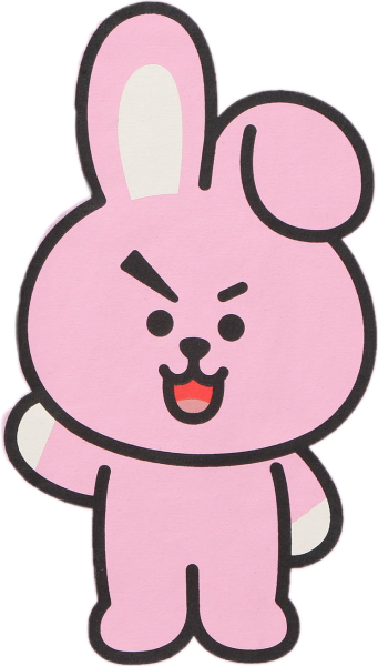 Куки БТС бт21