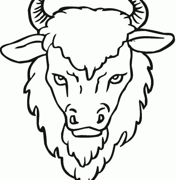 ЗУБР раскраска