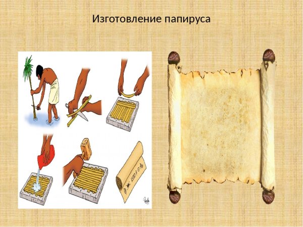 Папирус писчий материал древнего Египта