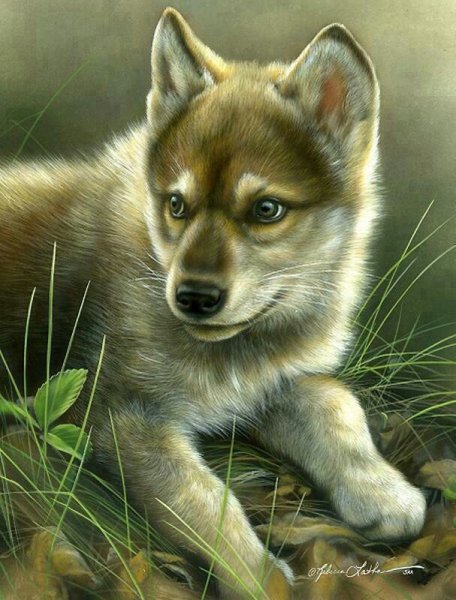 Милые волчата