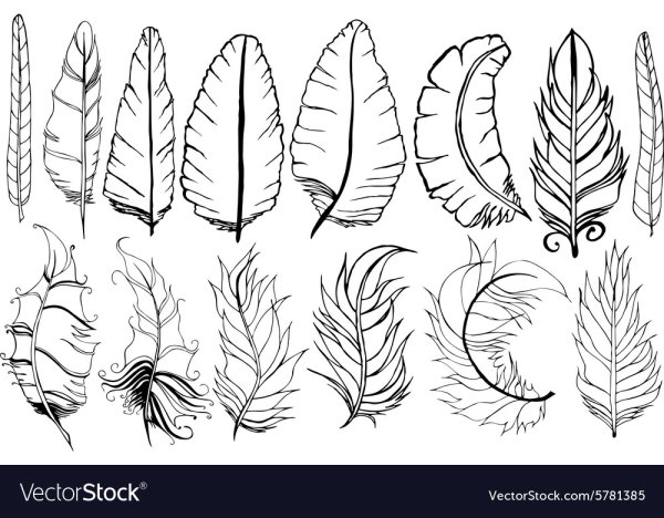 Перо для рисования шаблон