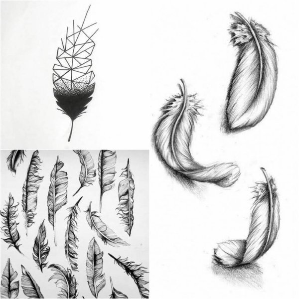 Перышко эскиз