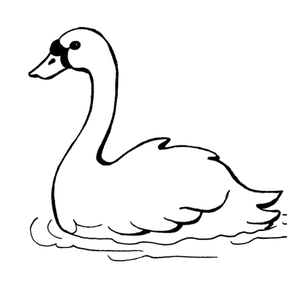 Лебедь плывет рисунок