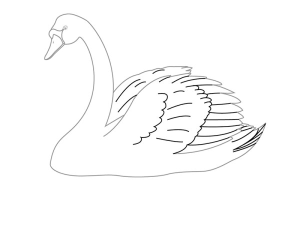 Лебедь раскраска для детей