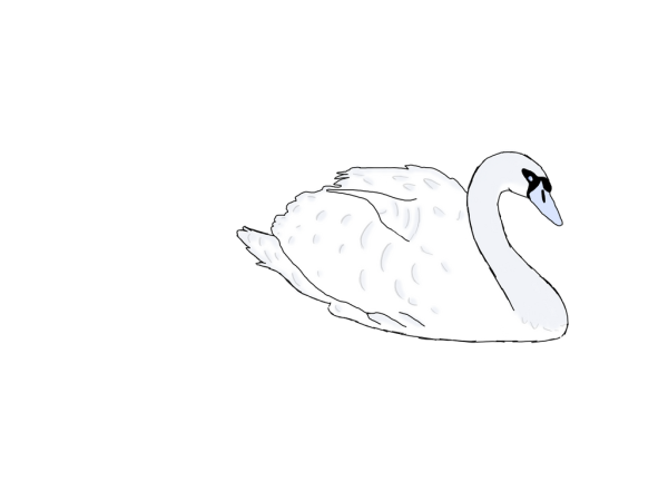 Белый лебедь рисунок