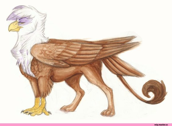 Грифон в цвете