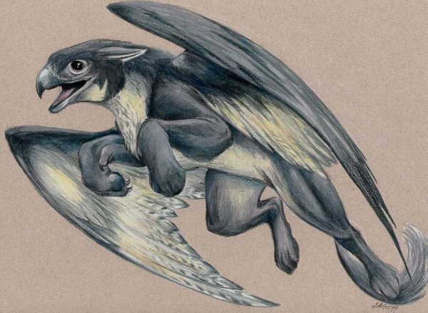 Маленький грифончик