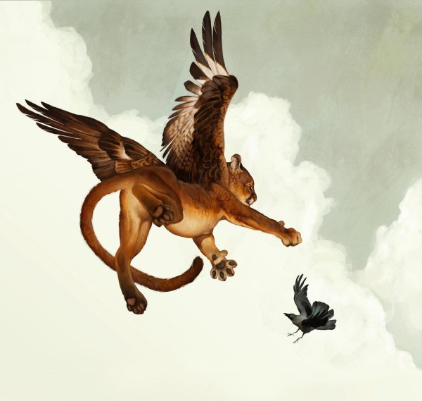 Грифон и гиппогриф любовь