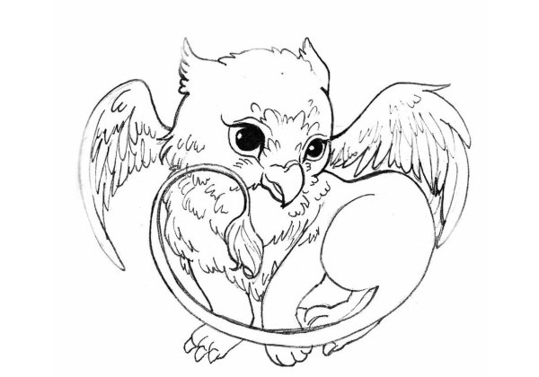 Грифон раскраска