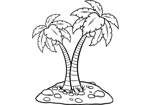 Пальма раскраска
