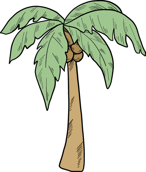 Пальмы для распечатки