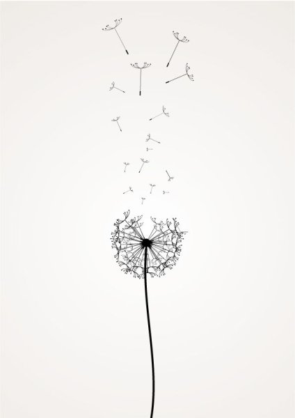 Одуванчик эскиз