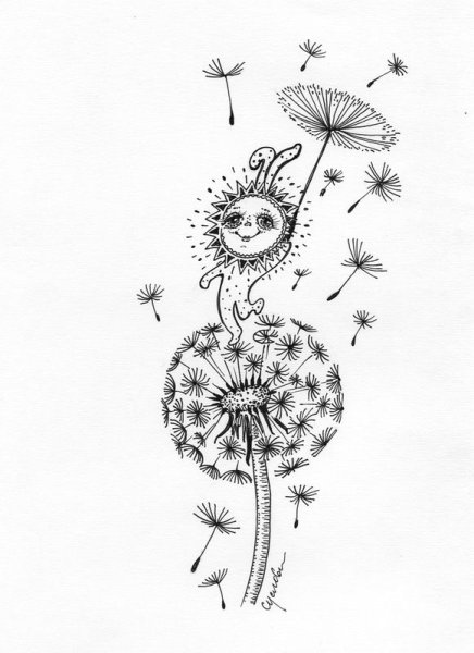 Одуванчик на белом фоне