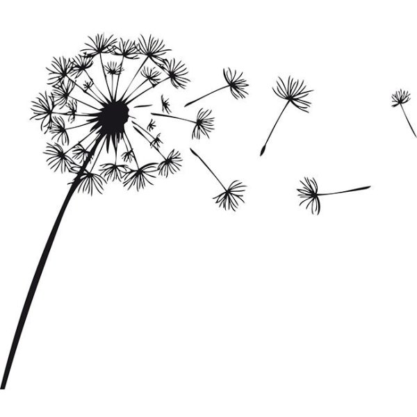 Птички тату эскиз