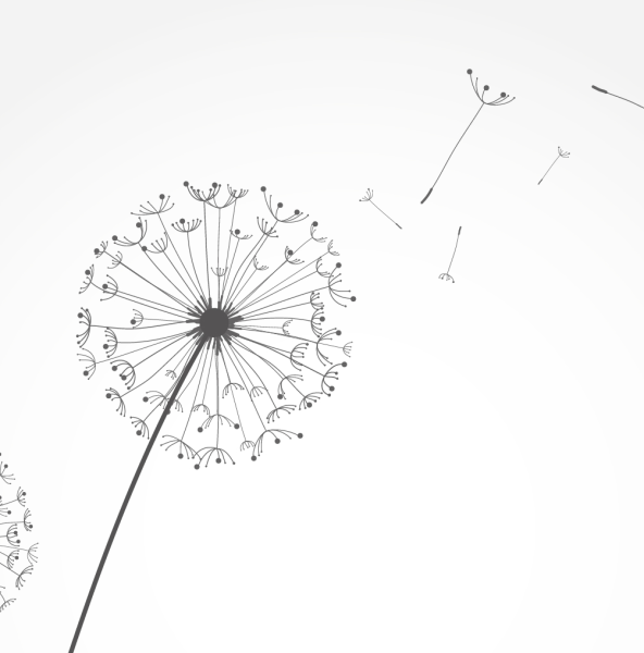 Одуванчик рисунок