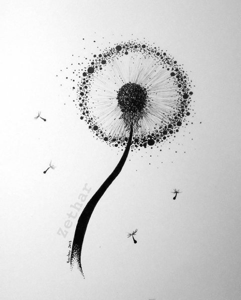 Одуванчик набросок