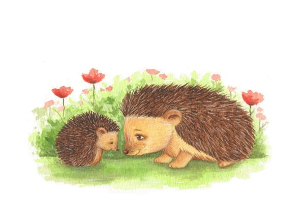 Семья ежей для детей