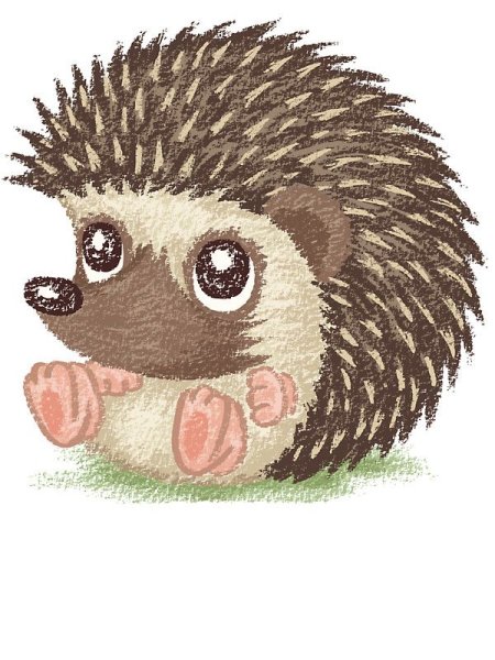 Ежик картинка