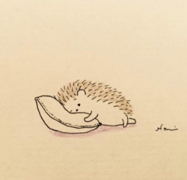 Милый Ежик рисунок
