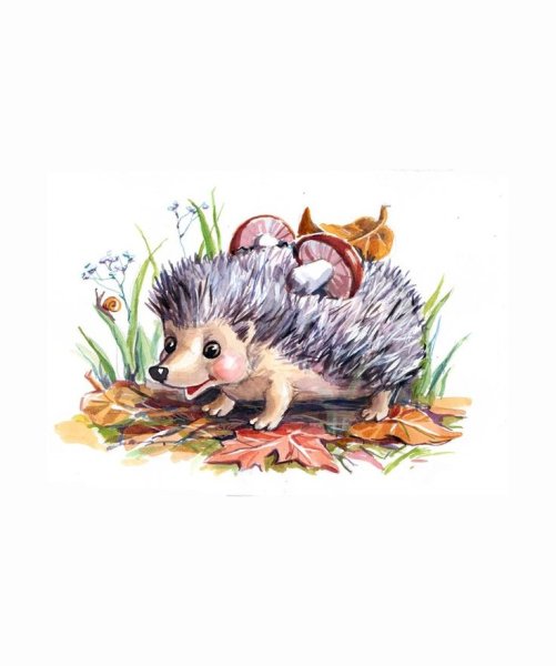 Акварельные ежики
