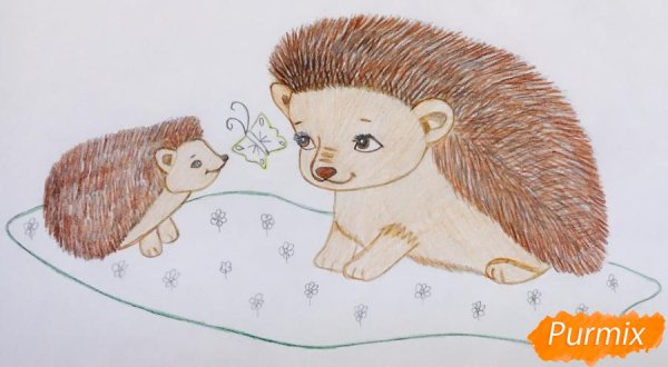 Раскрасить ежика цветными карандашами