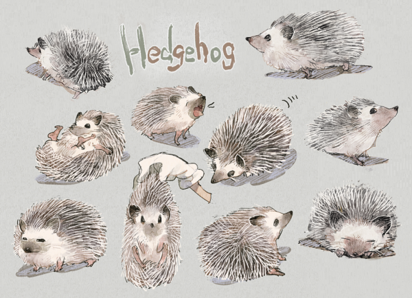 Стилизованный Ежик