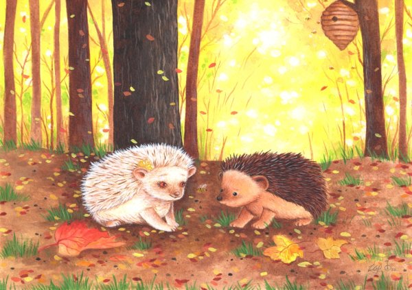 Картина ежата
