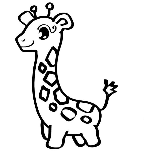 Жираф рисунок для срисовки