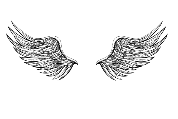 Маленькие крылышки