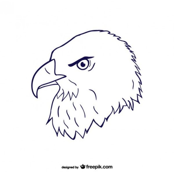Нарисовать голову орла