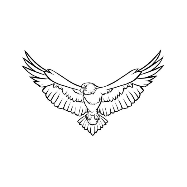 Тату Орел маленький эскиз