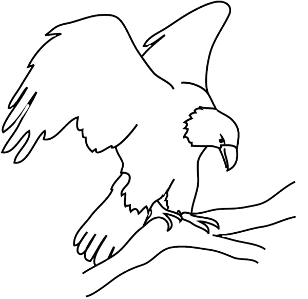 Орел рисунок для детей