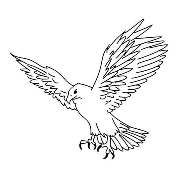 Орел контур