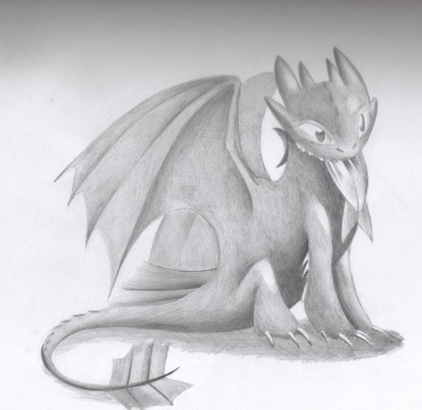 Раскраска дракон ночная фурия