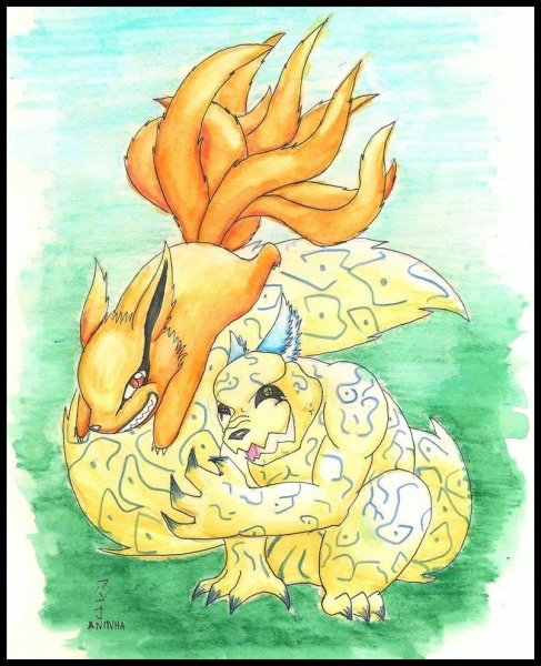 Хвостатые Шукаку