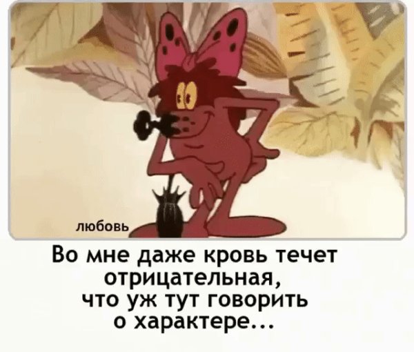 Дюдюка Барбидокская вредина