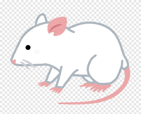 Мелкие зарисовки