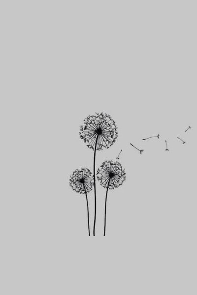 Минималистичный рисунок в черном цвете