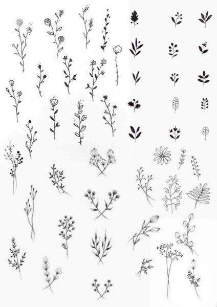 Маленькие тату растения