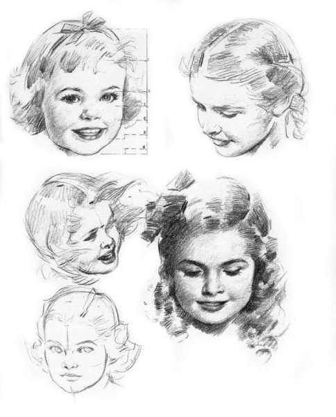 Контур головы