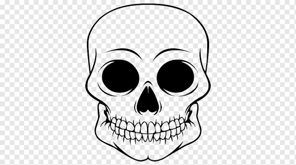 Маленький череп