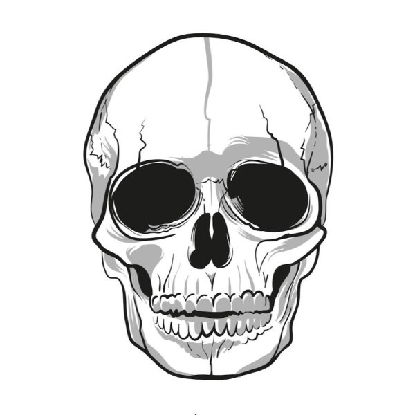 Векторный череп